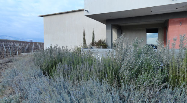 ΟΙΝΟΠΟΙΕΙΟΥ «ΧΑΤΖΗΒΑΡΥΤΗ» ΣΤΗ ΓΟΥΜΕΝΙΣΣΑ, ΚΙΛΚΙΣ