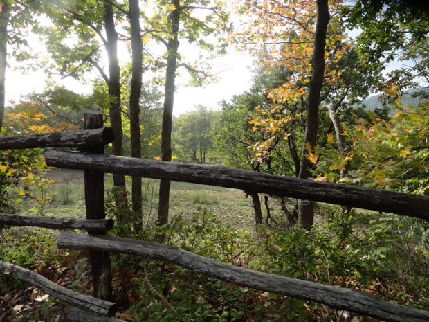 ΠΡΟΤΥΠΟ ΠΟΛΥΛΕΙΤΟΥΡΓΙΚΟ ΑΓΡΟΚΤΗΜΑ ΒΙΩΜΑΤΙΚΟΥ ΤΟΥΡΙΣΜΟΥ